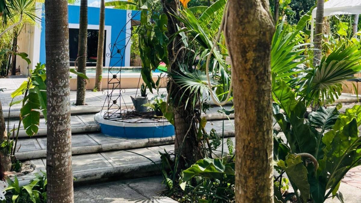 Hostal Y Camping Villa Mercedes Tizimin Exterior photo